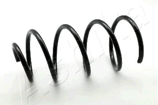 Suspension Spring (ZCA4113A)