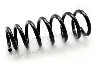 Suspension Spring (ZCA3898A)