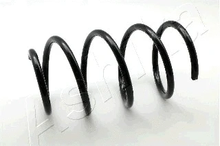 Suspension Spring (ZCA3409C)