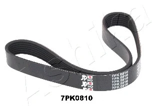 V-Ribbed Belt (112-7PK810)
