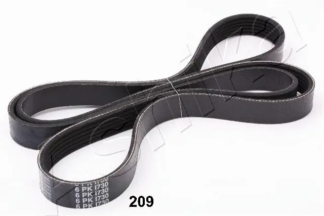 V-Ribbed Belt (96-02-209)