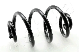 Suspension Spring (ZCA5265X)