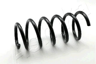 Suspension Spring (ZCA2234C)