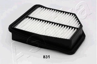 Air Filter (20-08-831)