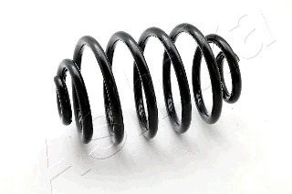 Suspension Spring (ZCA6203X)