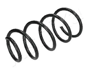 Suspension Spring (ZCA4106A)