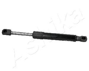 Gas Spring, boot/cargo area (ZSA03008)