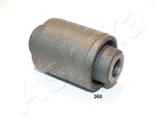 Mounting, control/trailing arm (GOM-300)