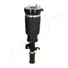 Air Suspension Strut (MA-AS029)