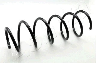Suspension Spring (ZCA3463C)