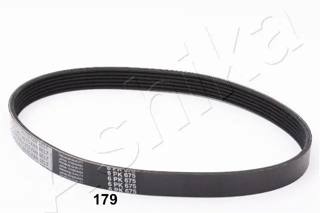 V-Ribbed Belt (96-01-179)