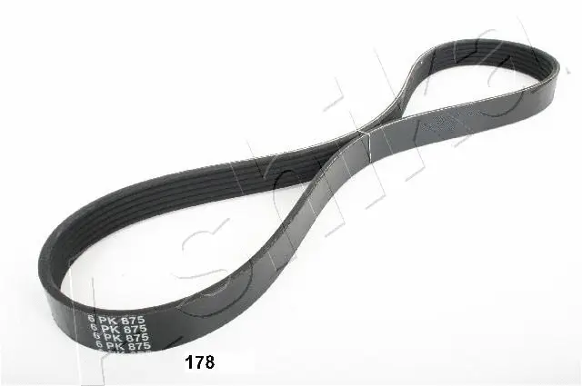 V-Ribbed Belt (96-01-178)