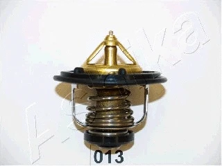 Thermostat, coolant (22-013)