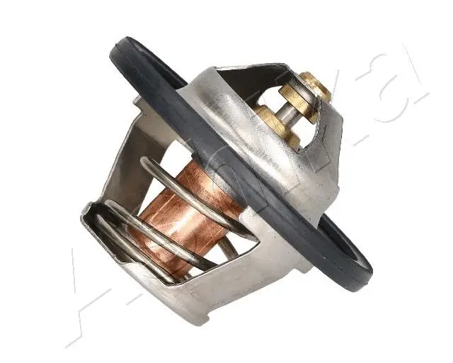 Thermostat, coolant (38-00-0602)