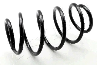 Suspension Spring (ZCA3938H)