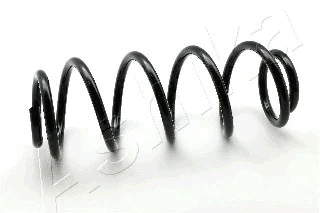 Suspension Spring (ZCA1021H)