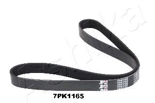 V-Ribbed Belt (112-7PK1165)