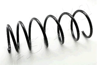 Suspension Spring (ZCA1127G)