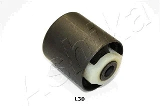 Mounting, control/trailing arm (GOM-L30)