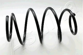 Suspension Spring (ZCA2597H)