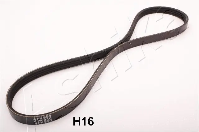 V-Ribbed Belt (96-0H-H16)