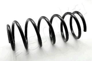 Suspension Spring (ZCA2219C)