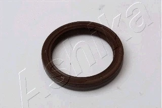 Shaft Seal, crankshaft (XX-PARAOLIO)