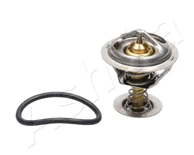 Thermostat, coolant (38-00-0306)