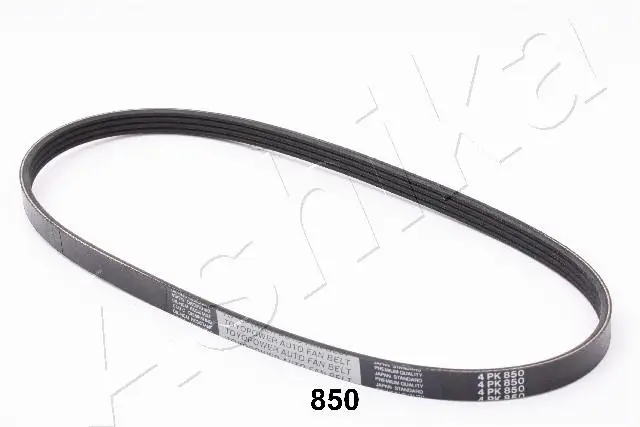 V-Ribbed Belt (96-08-850)