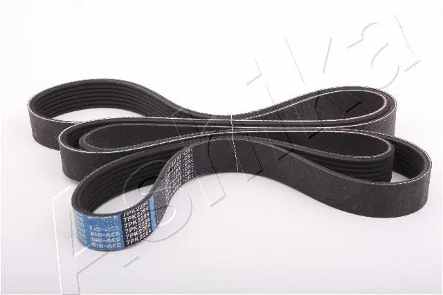 V-Ribbed Belt (96-0K-K17)