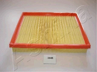 Air Filter (20-03-394)