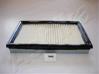 Air Filter (20-03-395)