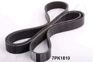 V-Ribbed Belt (112-7PK1810)