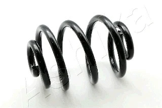 Suspension Spring (ZCA5152X)
