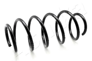 Suspension Spring (ZCA2948H)
