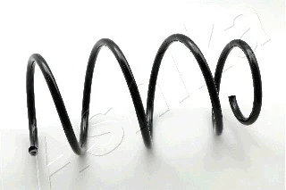 Suspension Spring (ZCA2580H)