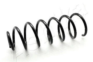 Suspension Spring (ZCA5769C)