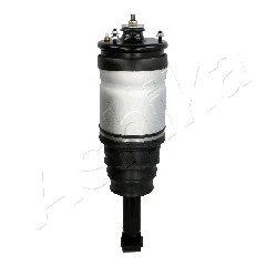 Air Suspension Strut (MA-AS020)