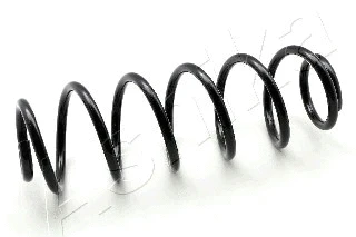Suspension Spring (ZCA6097H)