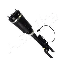 Air Suspension Strut
