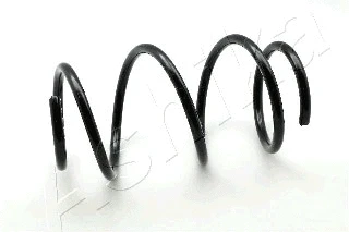 Suspension Spring (ZCA2540H)