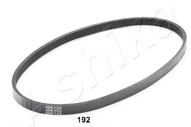V-Ribbed Belt (96-01-192)