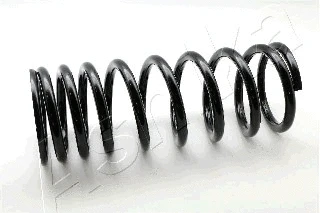 Suspension Spring (ZCA6016E)