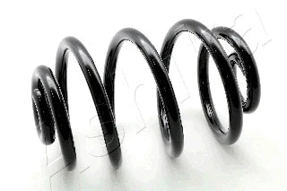 Suspension Spring (ZCA5414X)