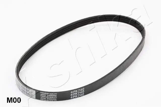 V-Ribbed Belt (96-0M-M00)