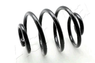 Suspension Spring (ZCA5103X)