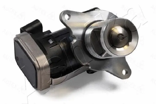 EGR Valve (150-00-0512)