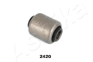 Mounting, control/trailing arm (GOM-2420)
