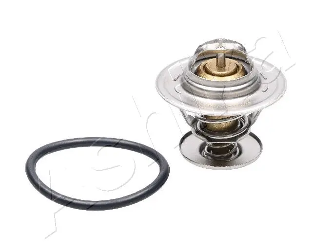 Thermostat, coolant (38-00-0305)