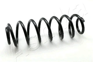 Suspension Spring (ZCA5546H)